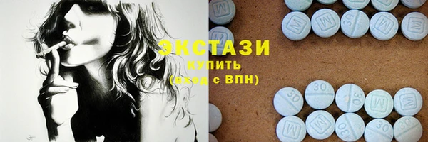 гидра Гусиноозёрск