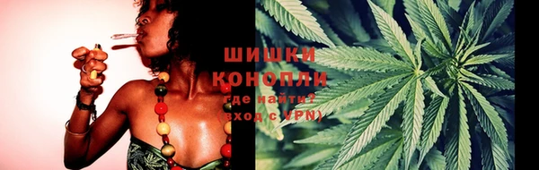 spice Гусев