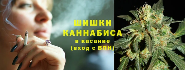 spice Гусев