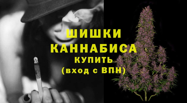 spice Гусев