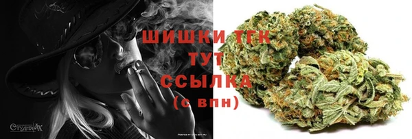 гидра Гусиноозёрск