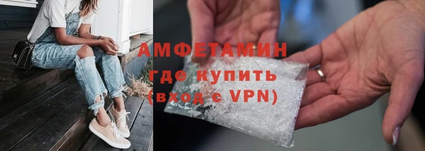 гидра Гусиноозёрск