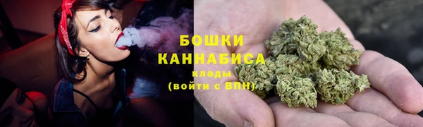 гидра Гусиноозёрск
