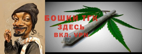 гидра Гусиноозёрск