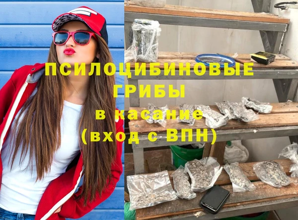spice Гусев