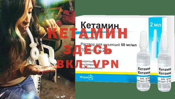 гидра Гусиноозёрск