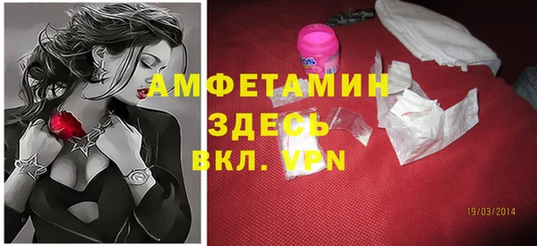 гидра Гусиноозёрск