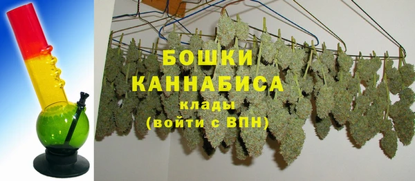 гидра Гусиноозёрск