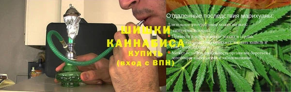 гидра Гусиноозёрск